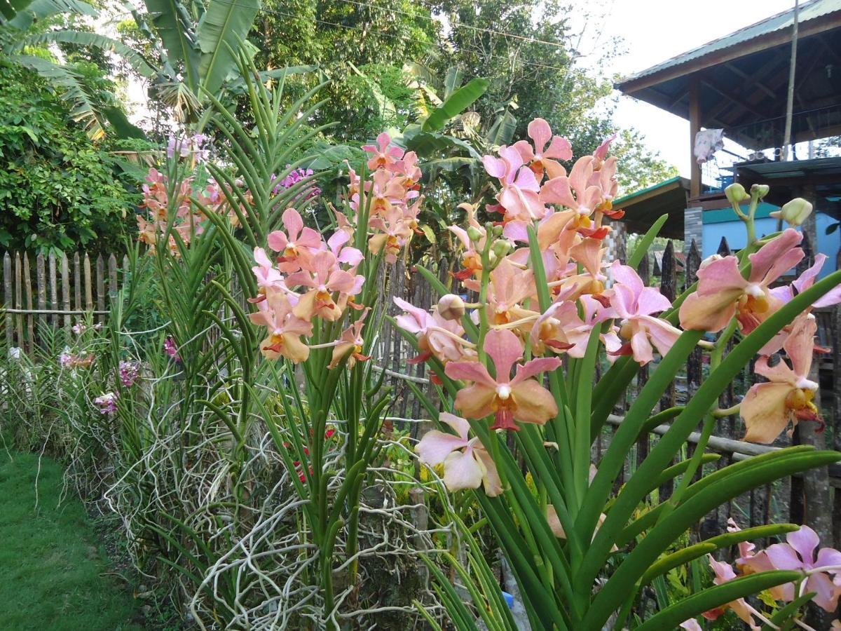 Lhoyjean Garden Hostel Batuan Εξωτερικό φωτογραφία